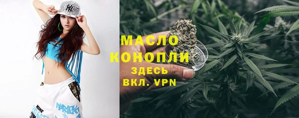 дживик Няндома