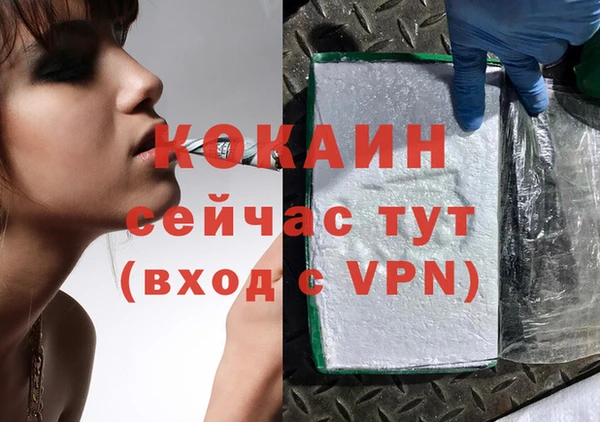 дживик Няндома