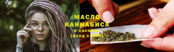 дживик Няндома