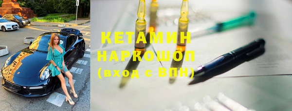 дживик Няндома
