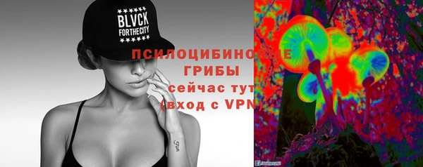 дживик Няндома