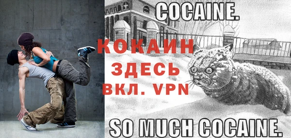 дживик Няндома