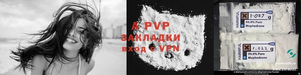 дживик Няндома