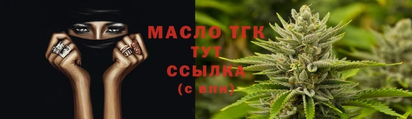 дживик Няндома