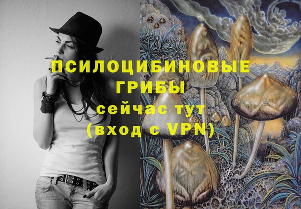 дживик Няндома