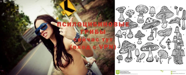 дживик Няндома