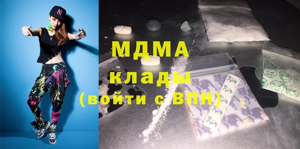 дживик Няндома